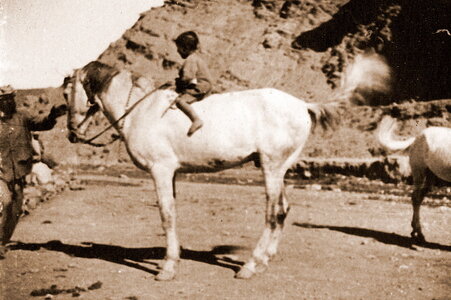 Henri Maroc 1931-1944, File_127