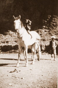 Henri Maroc 1931-1944, File_128