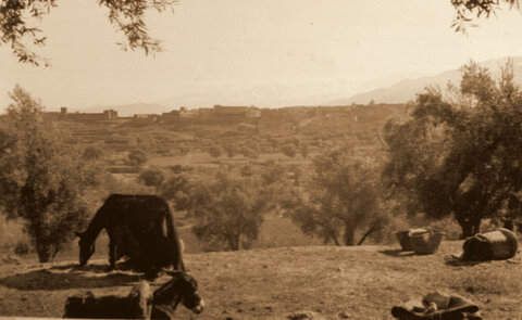 Henri Maroc 1931-1944, File_131