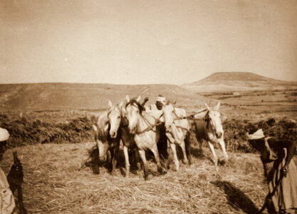 Henri Maroc 1931-1944, File_183