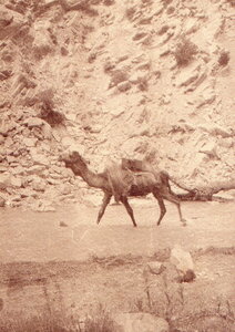 Henri Maroc 1931-1944, File_185