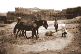 Henri Maroc 1931-1944, File_202