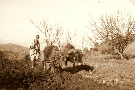 Henri Maroc 1931-1944, File_204