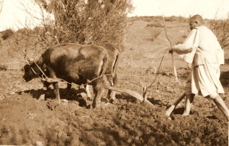 Henri Maroc 1931-1944, File_205