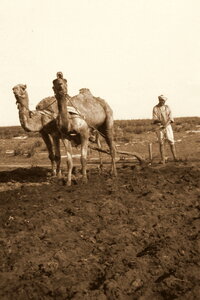 Henri Maroc 1931-1944, File_206