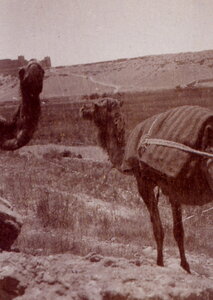 Henri Maroc 1931-1944, File_208