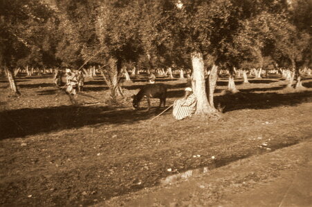 Henri Maroc 1931-1944, File_211