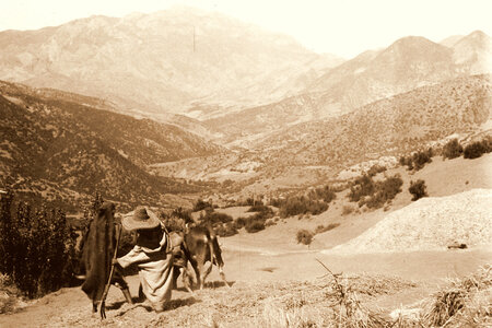 Henri Maroc 1931-1944, File_212