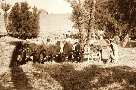 Henri Maroc 1931-1944, File_213