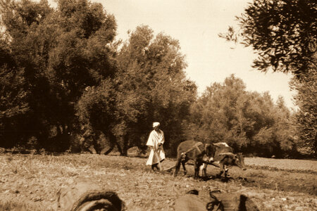 Henri Maroc 1931-1944, File_214