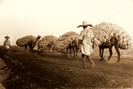 Henri Maroc 1931-1944, File_215