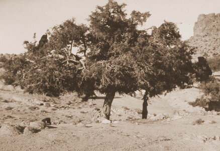 Henri Maroc 1931-1944, File_216