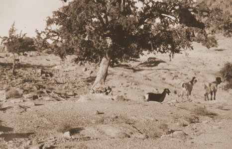 Henri Maroc 1931-1944, File_217