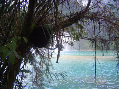 2014 Chiapas, 007 agua azul