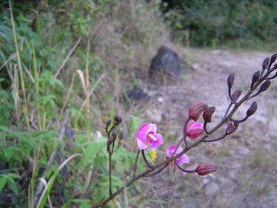 2014 Chiapas, 007 laguna de tziscao
