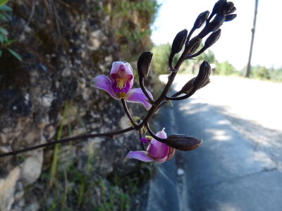 2014 Chiapas, 010 Lagunas de Montebello
