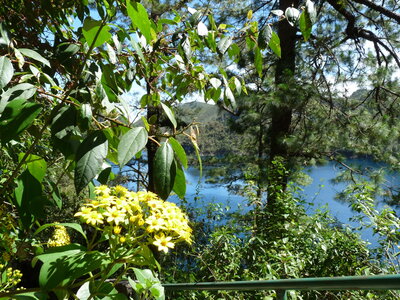2014 Chiapas, 011 Lagunas de Montebello