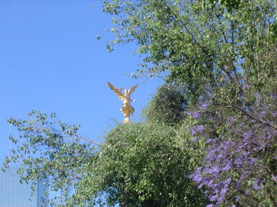 2014 Chiapas, DSC07241