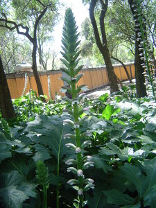 2014 Chiapas, DSC07248