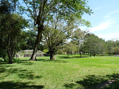 2014 Chiapas, palenque 005