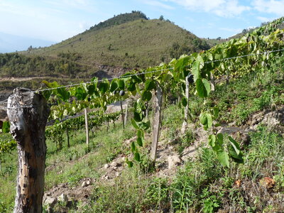 2014 Chiapas, 006 entre Chiapa de C. et San Cristobal 003