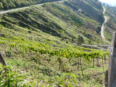 2014 Chiapas, 007 entre Chiapa de C. et San Cristobal 004