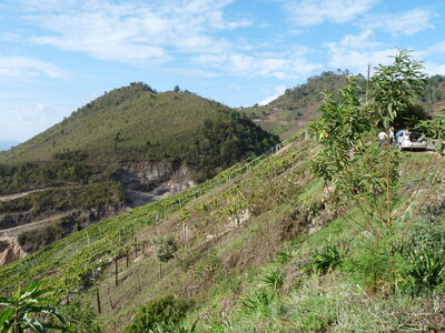 2014 Chiapas, 008 entre Chiapa de C. et San Cristobal 005