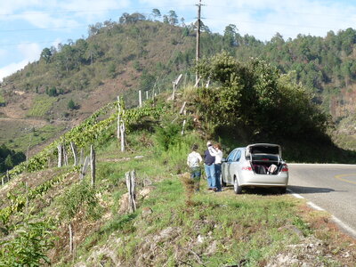 2014 Chiapas, 009 entre Chiapa de C. et San Cristobal 006