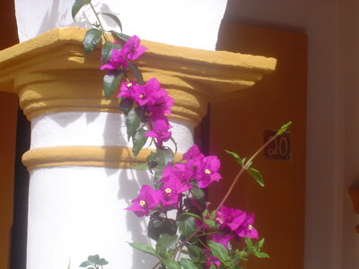 2014 Chiapas, DSC00052