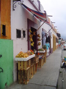 2014 Chiapas, DSC07220