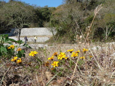 2014 Chiapas, P1020243