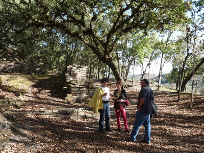 2014 Chiapas, P1020264