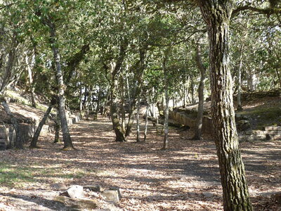 2014 Chiapas, P1020270