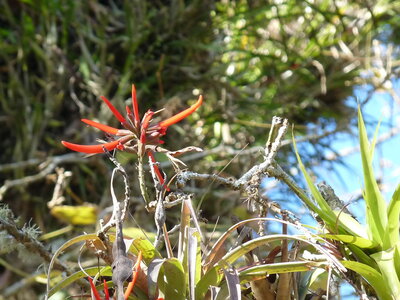 2014 Chiapas, P1020277