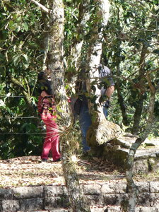 2014 Chiapas, P1020299