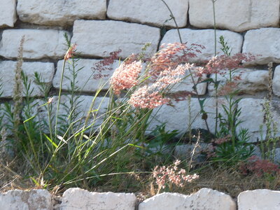 2014 Chiapas, P1020310