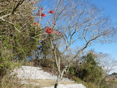 2014 Chiapas, P1020321