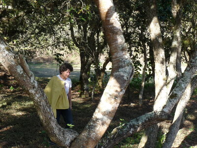 2014 Chiapas, P1020324