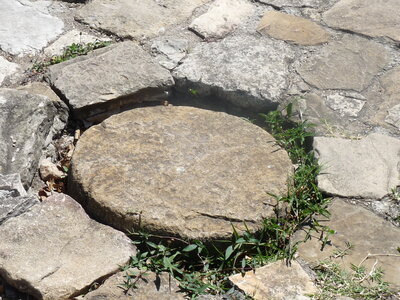 2014 Chiapas, P1020461