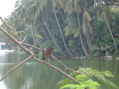 2014 Chiapas, DSC00109