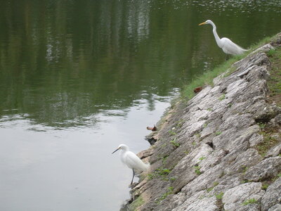 2014 Chiapas, DSC07112