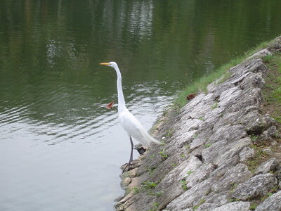 2014 Chiapas, DSC07115