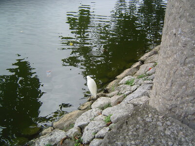 2014 Chiapas, DSC07118