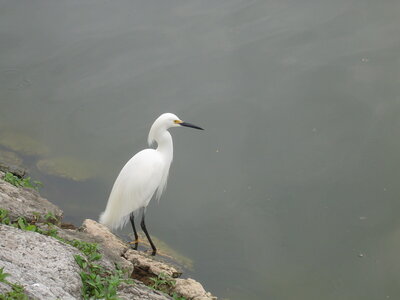 2014 Chiapas, DSC07122