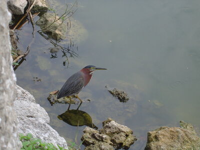 2014 Chiapas, DSC07127