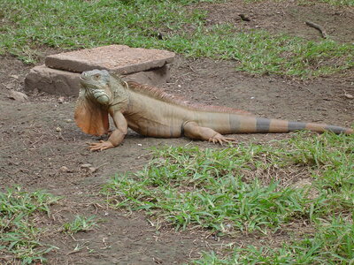 2014 Chiapas, DSC07161