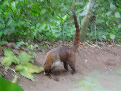 2014 Chiapas, DSC07170