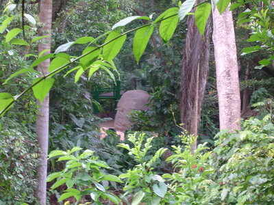 2014 Chiapas, DSC07191