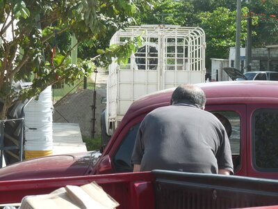 2014 Chiapas, P1020437