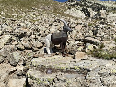 Merlette:Tournée des lacs, IMG_2551
